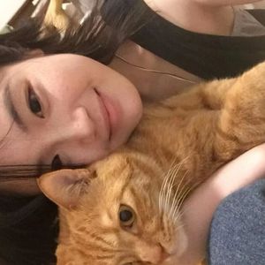 无尽 得到 向上 可爱 葡萄收获期
